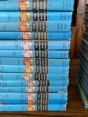 The Hardy Boys Matte Covers 1930’s-1970’s Huge Lot Of 38- No Duplicates Good