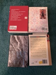 Lot Of 4 Chinese Printed Books