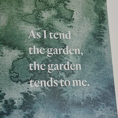 Grow Curious