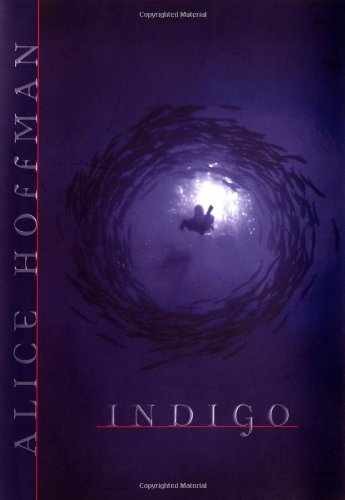 Indigo – Hardcover, by Hoffman Alice – Very Good u