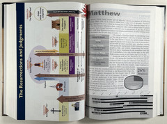 KJV Prophecy Study Bible Hardcover Tim LaHaye AMG Publishers Red Letter Like New