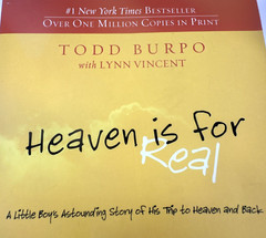 Heaven is for Real, Todd Burpo/Lynn Vincent, Paperback, 2010, used (BB1)