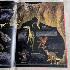 Guide to Dinosaurs by David Lambert (2000, DK Hardcover PERMA-BOUND) Children NF