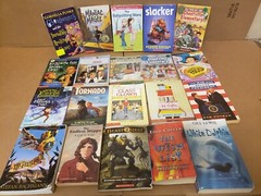 Lot of 100 Chapter INSTANT LIBRARY Children RANDOM~MYSTERY BOX~UNSORTED BOOK MIX