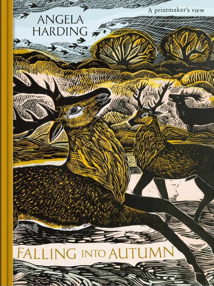 Angela Harding Falling into Autumn (Hardback)