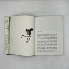 James Fisher & Roger Tory Peterson’s WORLD OF BIRDS Revised HC Cream DJ 192