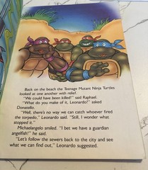 Mixed Lot of 4 Teenage Mutant Ninja Turtles TMNT Kids Paperback Books 90s-2010s