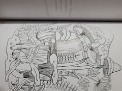 COLORFUL ESCAPES – The colors of Nature! Vol. 26 -Adult Coloring Book – 31 Pages
