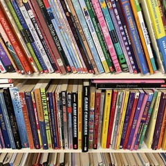 Lot of 25 Children’s Kids Chapter Books – Random – Free Shipping!