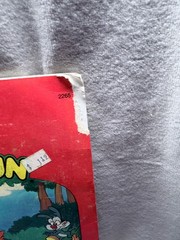 Tiny Toon Adventures Sticker Fun Golden Coloring Book Used Condition