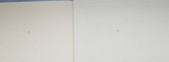 Vintage Disney STORYBOOK COLLECTION 1st Edition Hardcover Silver Gilt Edges 1998