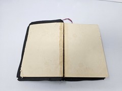 The Bible for Young Folks 1945 Illustrated Gold Gilt Page Edges Red Letter Ed.