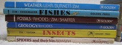 14 Golden Press Nature Guide Lot Rocks Stars Flowers Fossils Insects Weather +