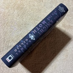 The Knight and the Moth by Rachel Gillig TARGET EXCLUSIVE EDITION