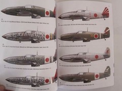 Osprey: Ki-61 and Ki-100 Aces – Aircraft of the Aces 114