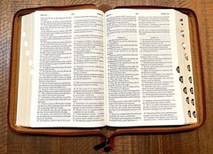 Russian/English Parallel Bible, Synodal/KJV, Brown Imitation Leather Zip LARGE