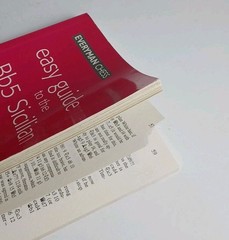 Easy Guide to the Bb5 Sicilian by Steffen Pedersen (1999, Trade Paperback)