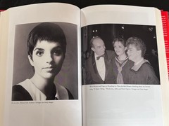 Kids, Wait till You Hear This! by Liza Minnelli (2026, Hardcover)