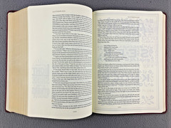 The Daily Grace Co Illuminated ESV Bible Art Journaling Softcover With Box