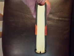Ghost Stories & Tales of Mystery- J.S. Le Fanu – REPRINT edition – leather spine