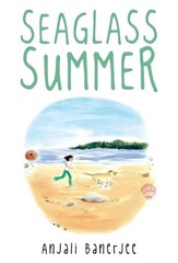 Seaglass Summer by Anjali Banerjee (English) Paperback Book