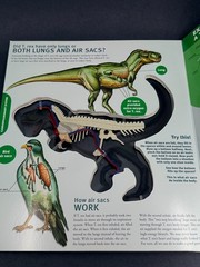 Explore T Rex Dinosaur Inside Out Plastic Model & Book Kids Under 8+ Years GIFT