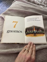 A Gnome Counting Book~By Will Huygen Illustrator Rien Poortvliet Harry Abrams VG