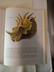 Dinosaurs Giants of the Past by Eileen Daly HC 1976 A Golden Book 12.5 x 9.5 inc
