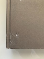 150 BEST MINIMALIST HOUSE IDEAS By Alex Sanchez Vidiella 2013 Hardcover Good ++