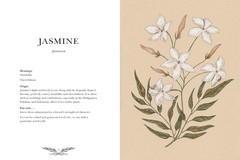 Floriography: An Illustrated Guide to the Victorian Language of Flowers (Volume