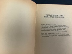 1971 TV FAVORITES by Linda Beech – The Partridge Family Haunted Hall 1st PB