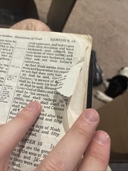 Holy Bible Cambridge French Morocco leather #24XC