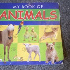 My Book of Animals Bendon, Inc. 2009 Board Book Picture Book Ages 4-8