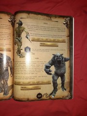 Two Worlds–The Official Strategy Guide 368 PAGES
