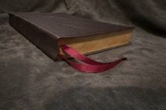 ethiopian bible in english complete large print Brown