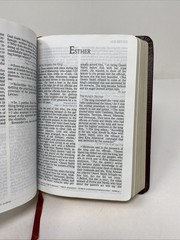HCSB Large Print Compact Bible • Burgundy Bonded Leather (2005, Holman)
