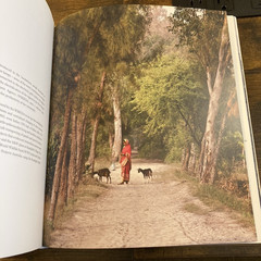 Chasing the Sun Tata Solar Power in India Oversized Coffee Table Book Nice Rare