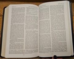 REB Revised English Bible Standard Text Edition Gray Leather RE532:T Cambridge
