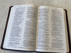 Bible NIV 1984 Large Print Thinline Burgundy Bonded Leather Excellent Condition