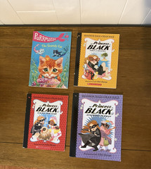 Lot of 13 Teen, Pre-Teen & Children’s Chapter Books Mixed Authors & Genres