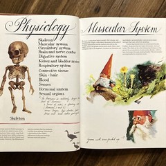 Gnomes – Wil Huygen & Rien Poortvliet (1st edition HC) Harry N. Abrams, 1977