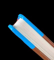 First 100 Ser.: First 100 Words : A Padded Board Book by Roger Priddy (2011,…