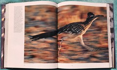 The Wonder of Birds Robert M. Poole 1983 Hardcover 280 Pages Of Amazing Birds