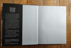 New Great Chicago Stories HC Tom Maday Sam Landers 60 Stories Photos 1996