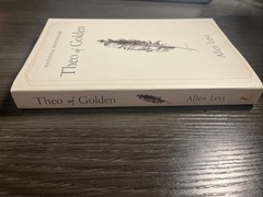 Theo of Golden : A Novel by Allen Levi (2025, Trade Paperback) New