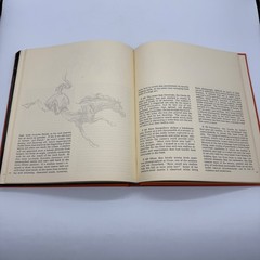 1977 Equus The Creation of a Horse Robert Vavra SIGNED 1st Edt Slip Case #187