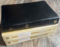 Biblia Pastoral de Estudio Plenitud RV1960 piel elaborada negro