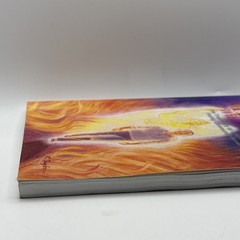 Through the Fire Without Burning by Duduman, Dumitru Paperback / softback Book