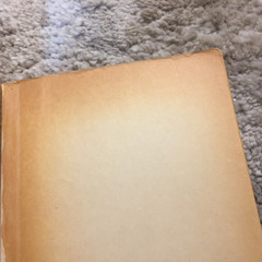 My Sky Is Blue Loula Grace Erdman 1965 Willow Books School Story Romance Book