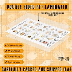 Sinload 12 Pcs Kidney Friendly Food List Poster Kidney Diet Chart Guide for Heal